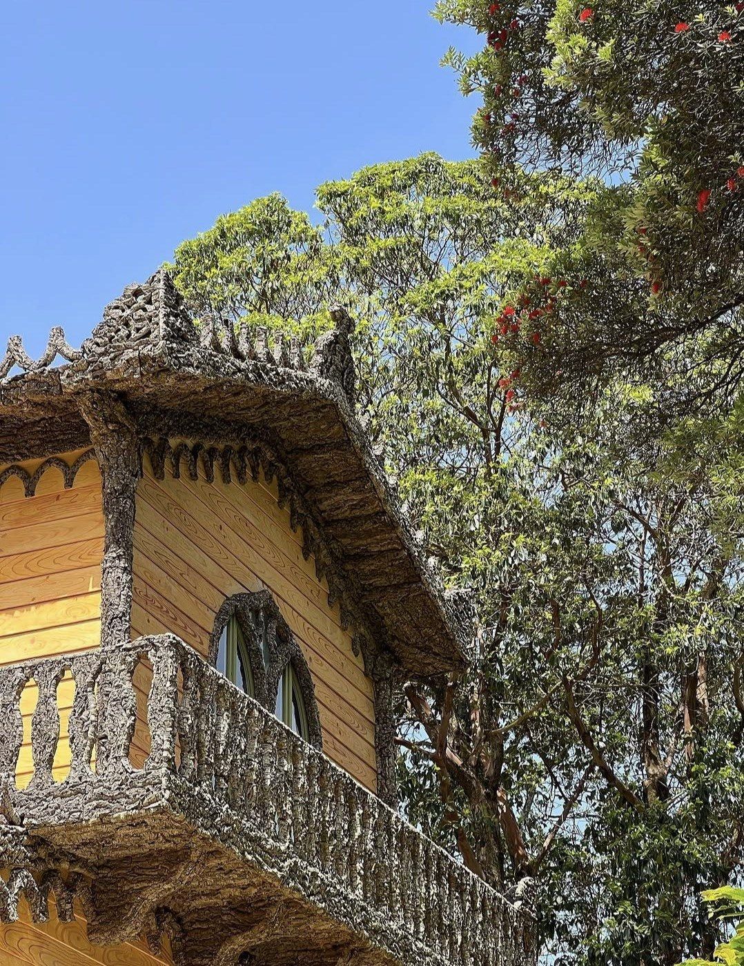 Wooden chalet eaves and cork balcony framed by flowering trees, Sintra